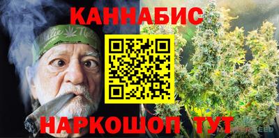 a pvp Аргун