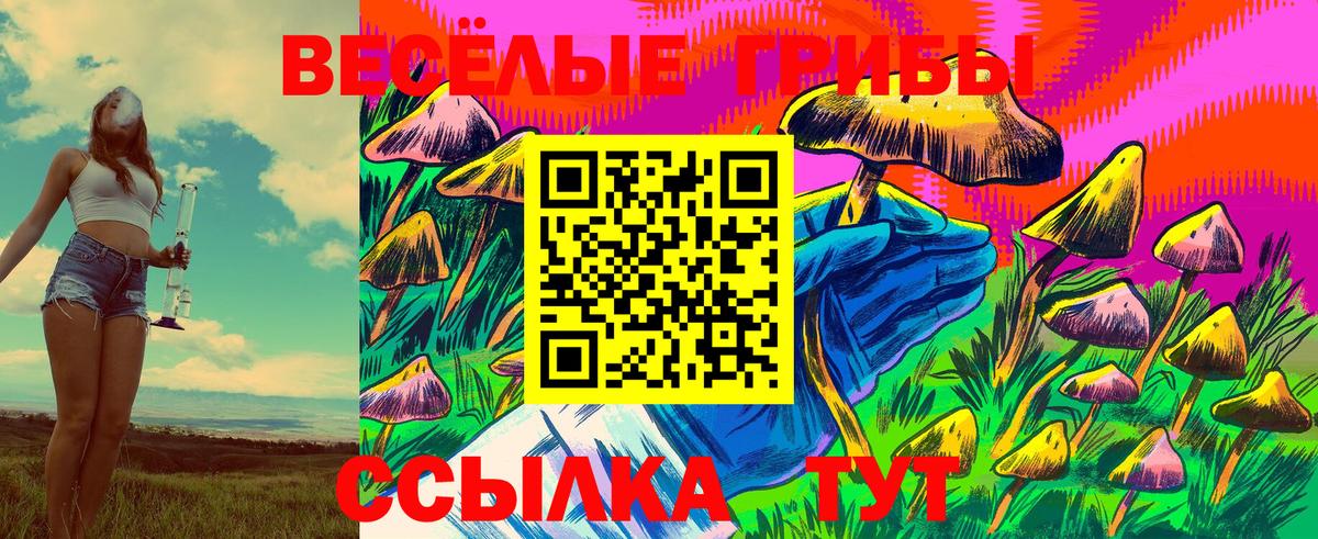 Псилоцибиновые грибы Cubensis  Псилоцибиновые грибы Cubensis  Азнакаево  Вход с VPN 